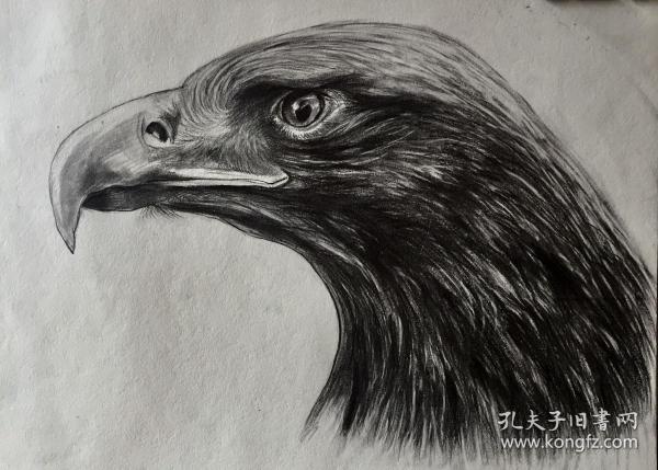 雕素描原画作品