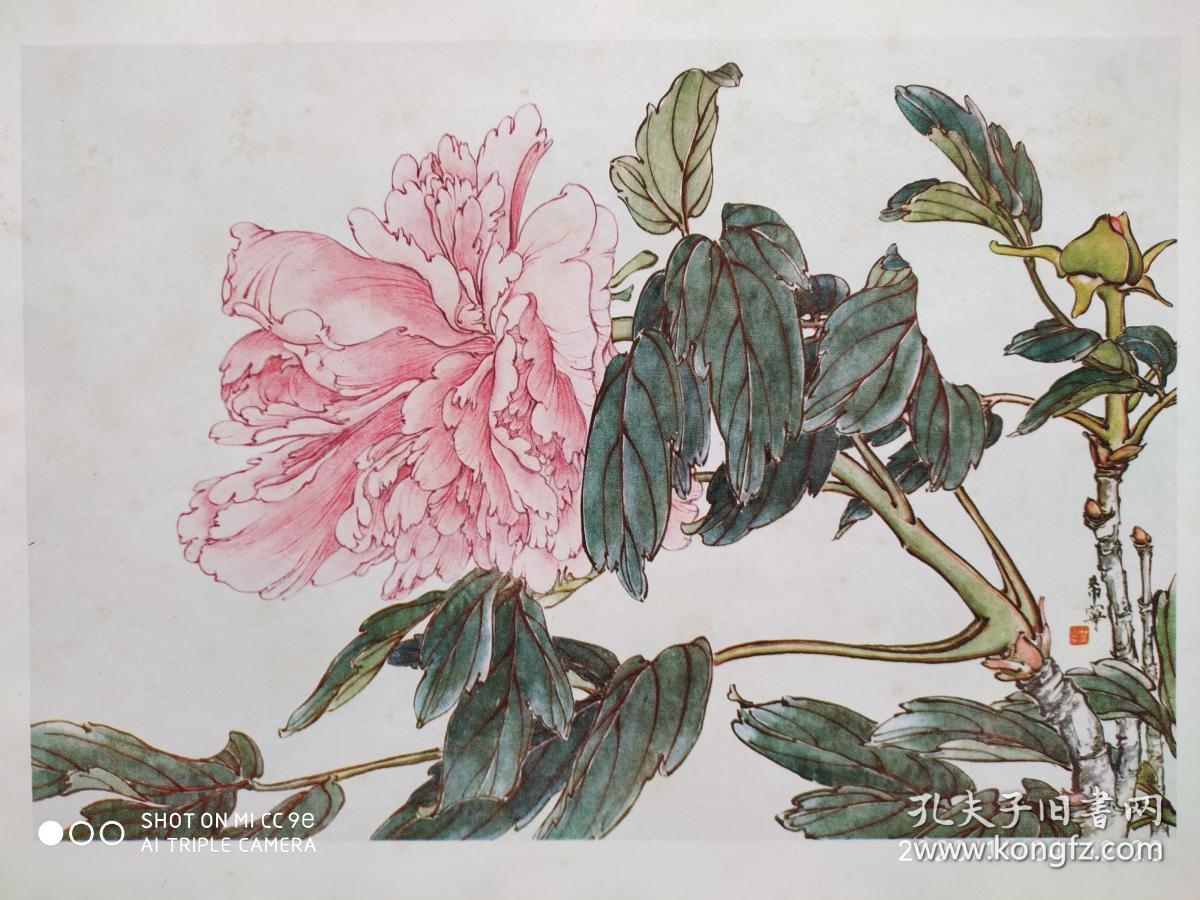 1977年版本牡丹画谱于希宁著8开仿线装本