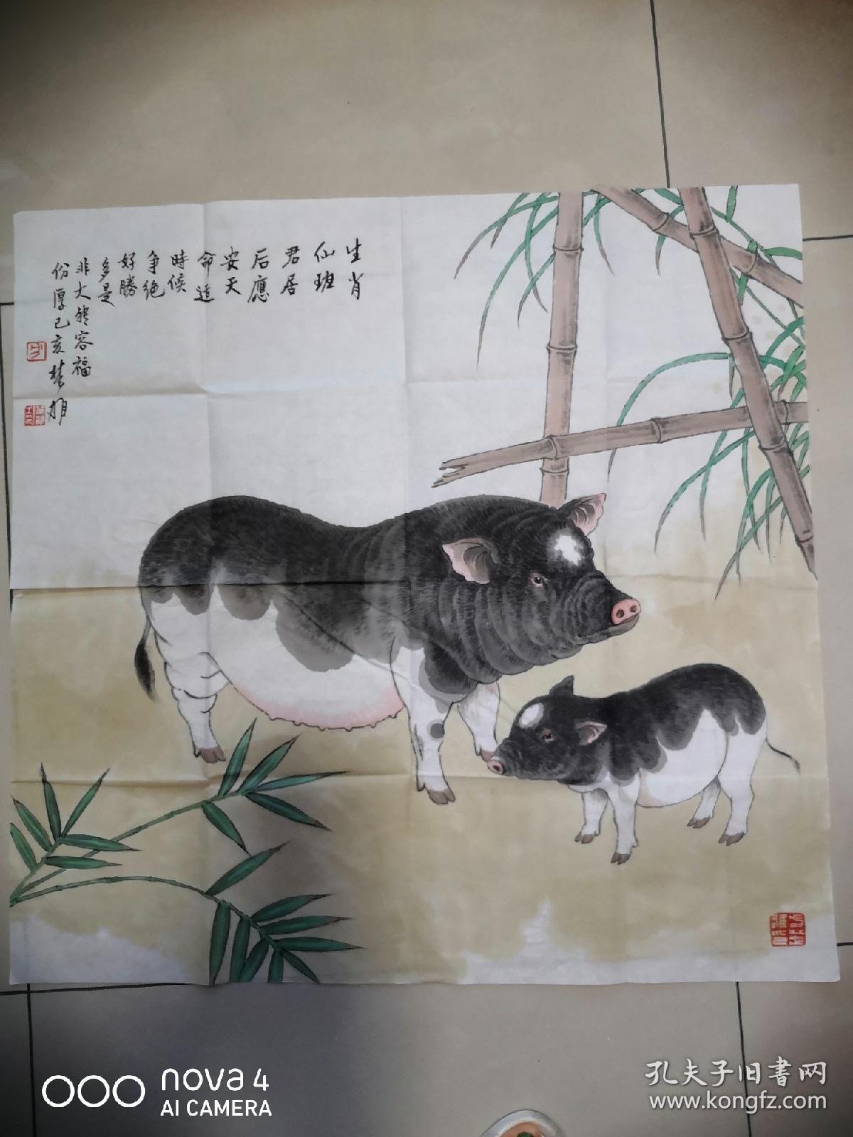 方楚雄手绘生肖猪