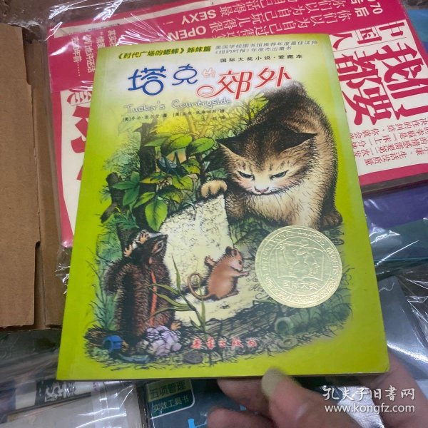 塔克的郊外