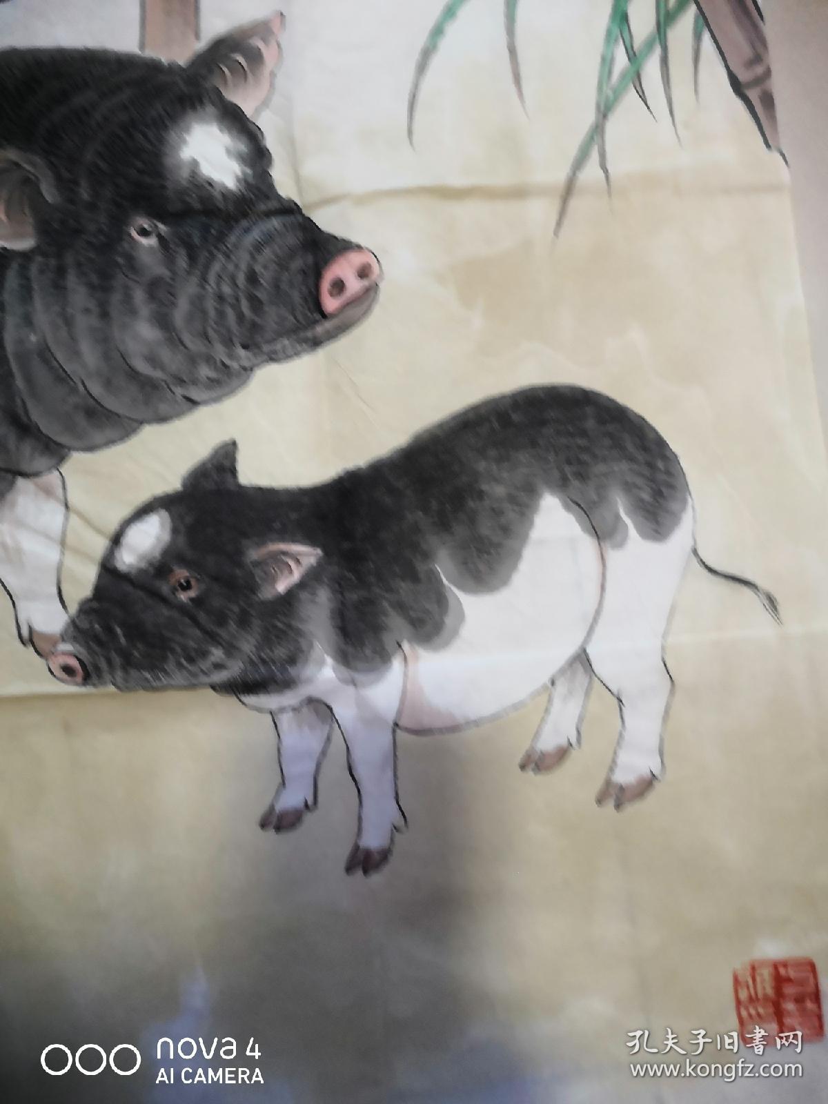 方楚雄手绘生肖猪