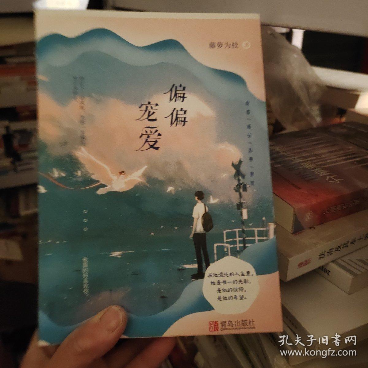 偏偏宠爱上下晋江文学城金榜作品