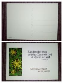 外国明信片，德国原版，德文，品如图，