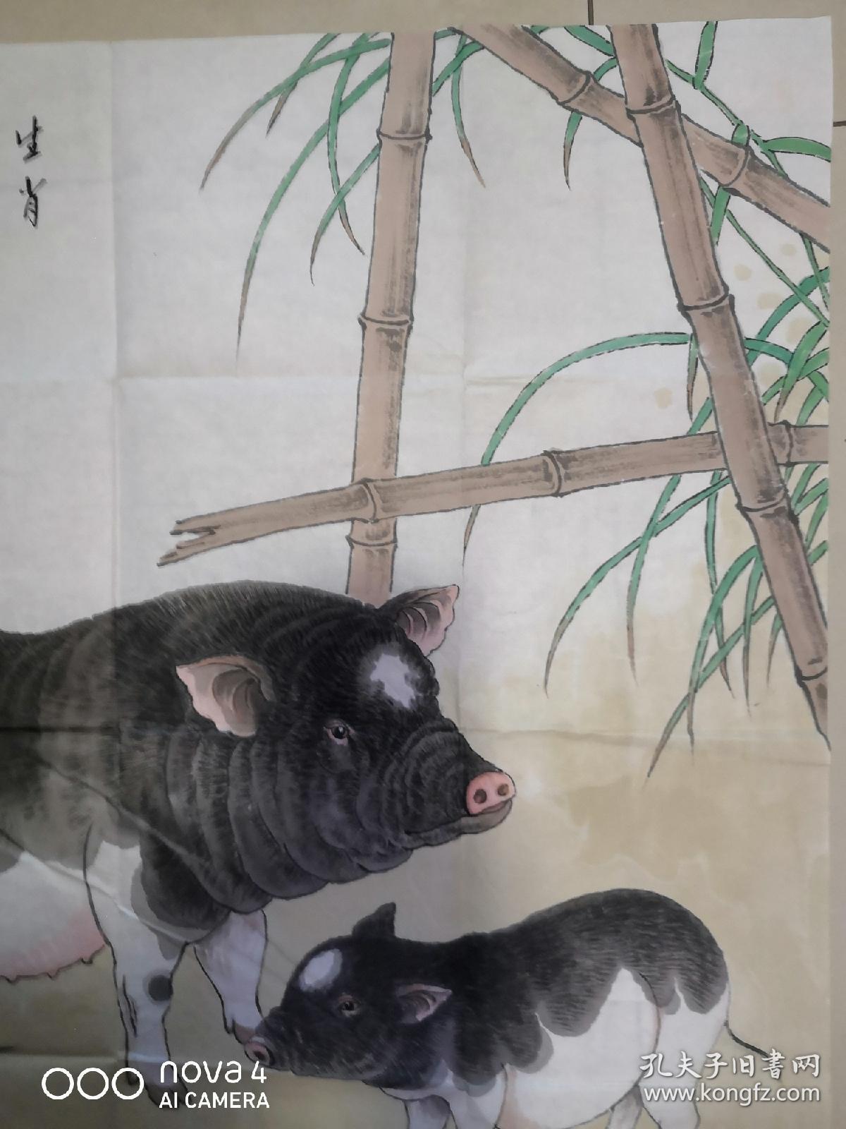 方楚雄手绘生肖猪