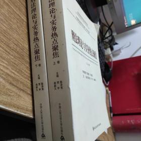 中国刑法学年会文集（2010年度）：刑法理论与实务热点聚焦（上下）