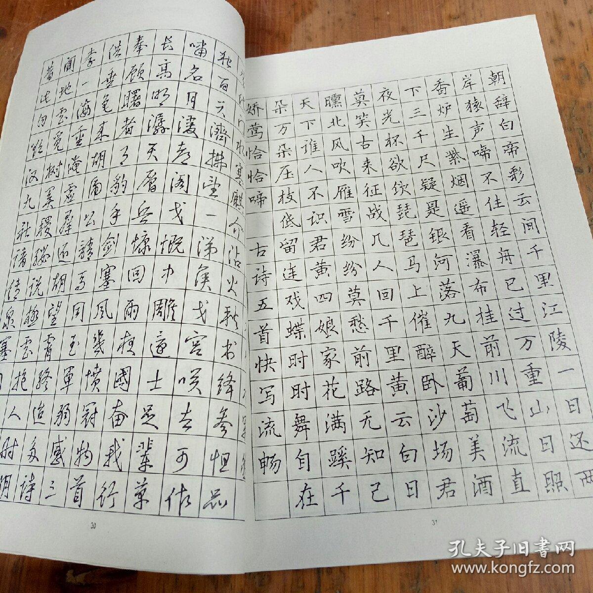 谢非墨硬笔书法卷