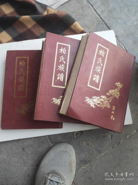 柏氏族谱 上中下