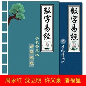 商铺风水店铺风水起名大师运势吉凶吉祥麦玲玲许义豪潘福星李居明$94