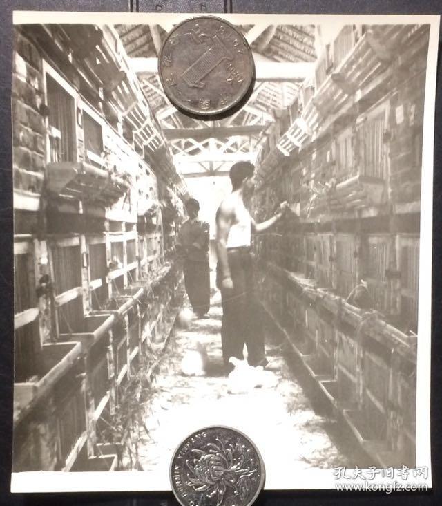 品相尺寸以图为准 旧相片 生活照 景点照