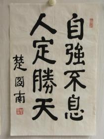 中国书协理事楚图南书法 作品编号18561