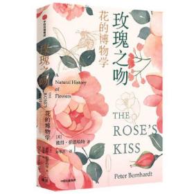 玫瑰之吻