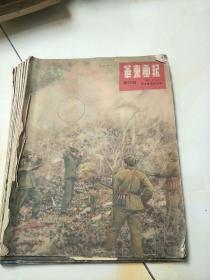 华东画报:1951年第15期-第22期