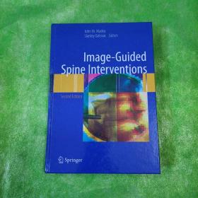 Image-Guided  spine  lnterventions