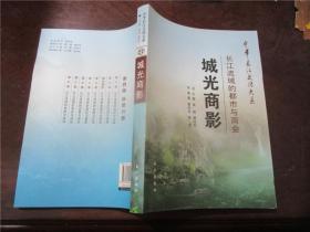 中华长江文化大系：长江流域的都市与商会·城光商影