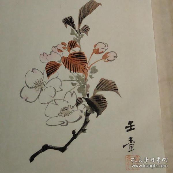 日本画大师川端玉章 套色木版画《樱花》