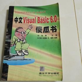 中文Visual Basic 6.0傻瓜书