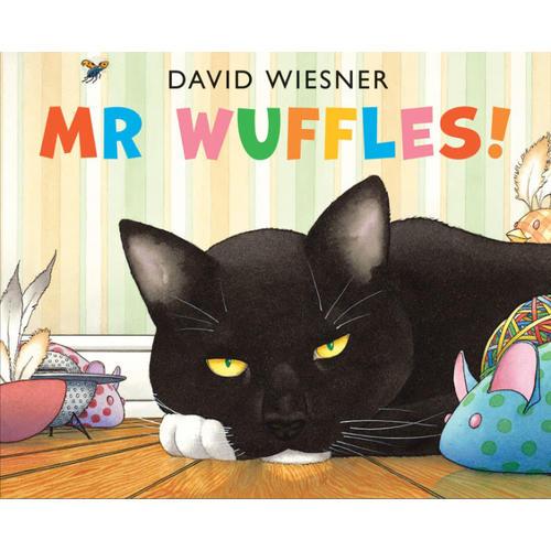 Mr Wuffles! [Paperback] 华夫先生！（2014年凯迪克银奖、大卫-威斯纳新作品）