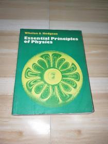 Essential Principles of Physics