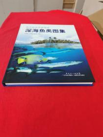 西沙群島西南海域深海魚類圖集（見描述）