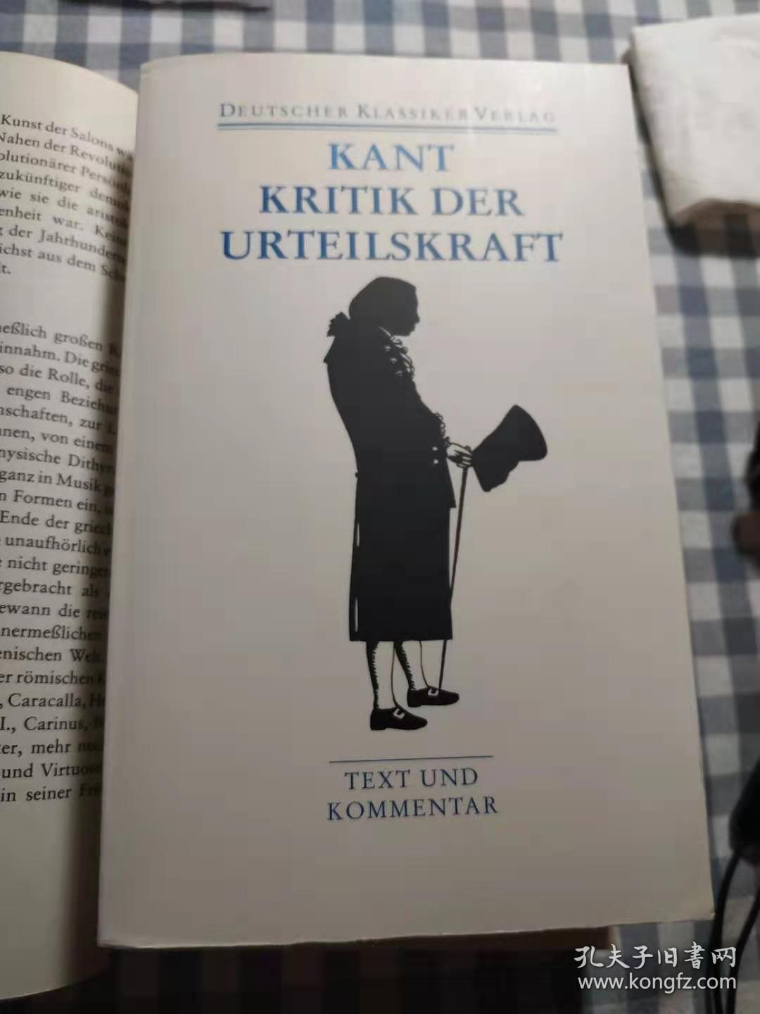 Kritik Der Urteilskraft Text Und Kommentar 判断力批判 文本与评注 孔夫子旧书网