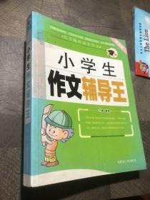 小学生作文辅导王