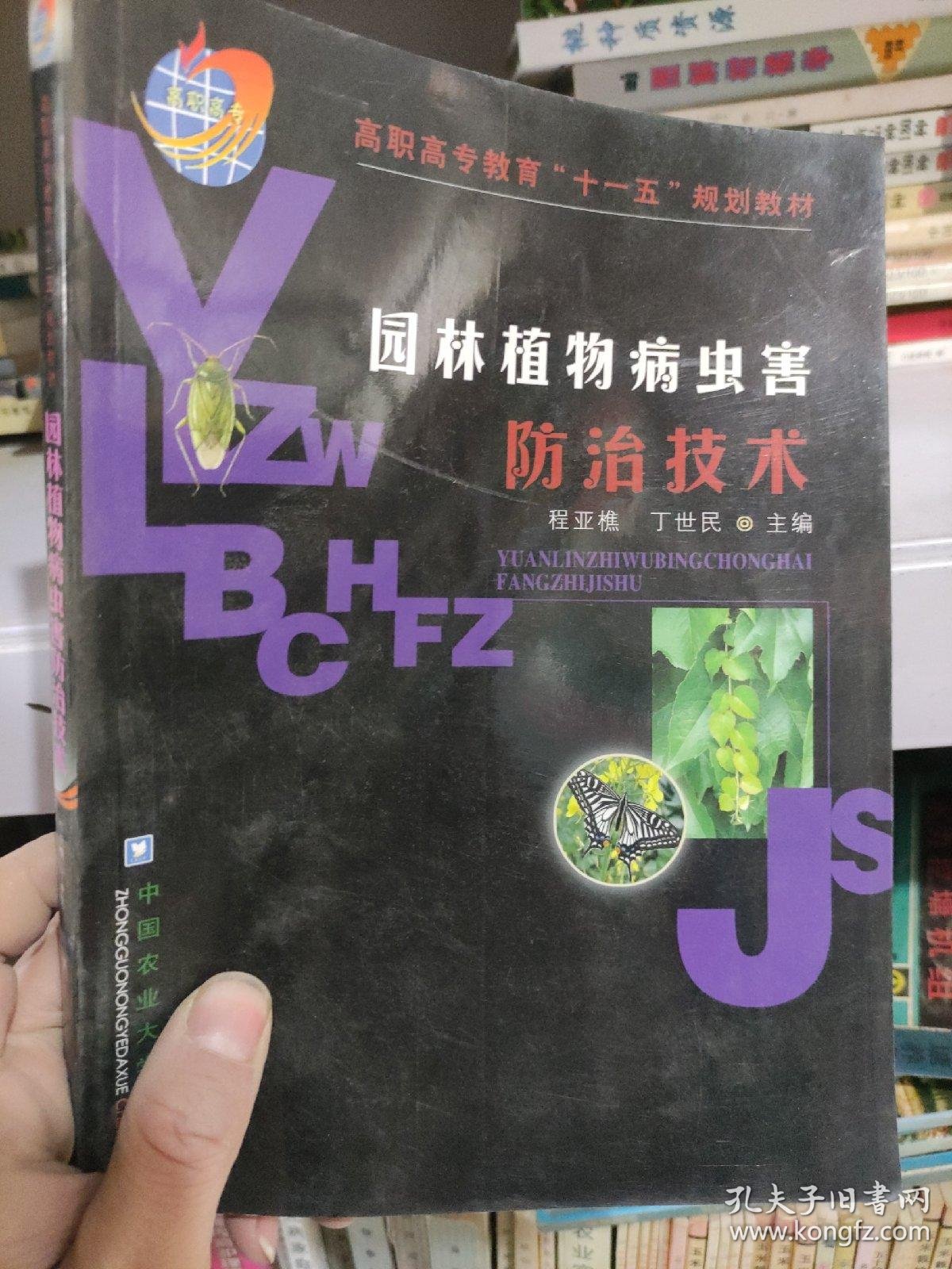 植物租赁行业的绿意盎然