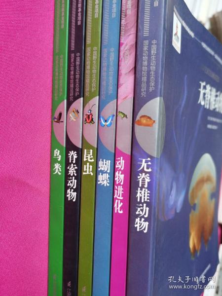鸟类 动物进化 昆虫 蝴蝶 脊索动物 无脊椎动物 中国野生动物生态保护国家动物博物馆精品研究 孔夫子旧书网 鸟类 动物进化 昆虫 蝴蝶 脊索动物 无脊椎动物 中国野生动物生态保护国家动物博物馆精品研究 孔夫子旧书网