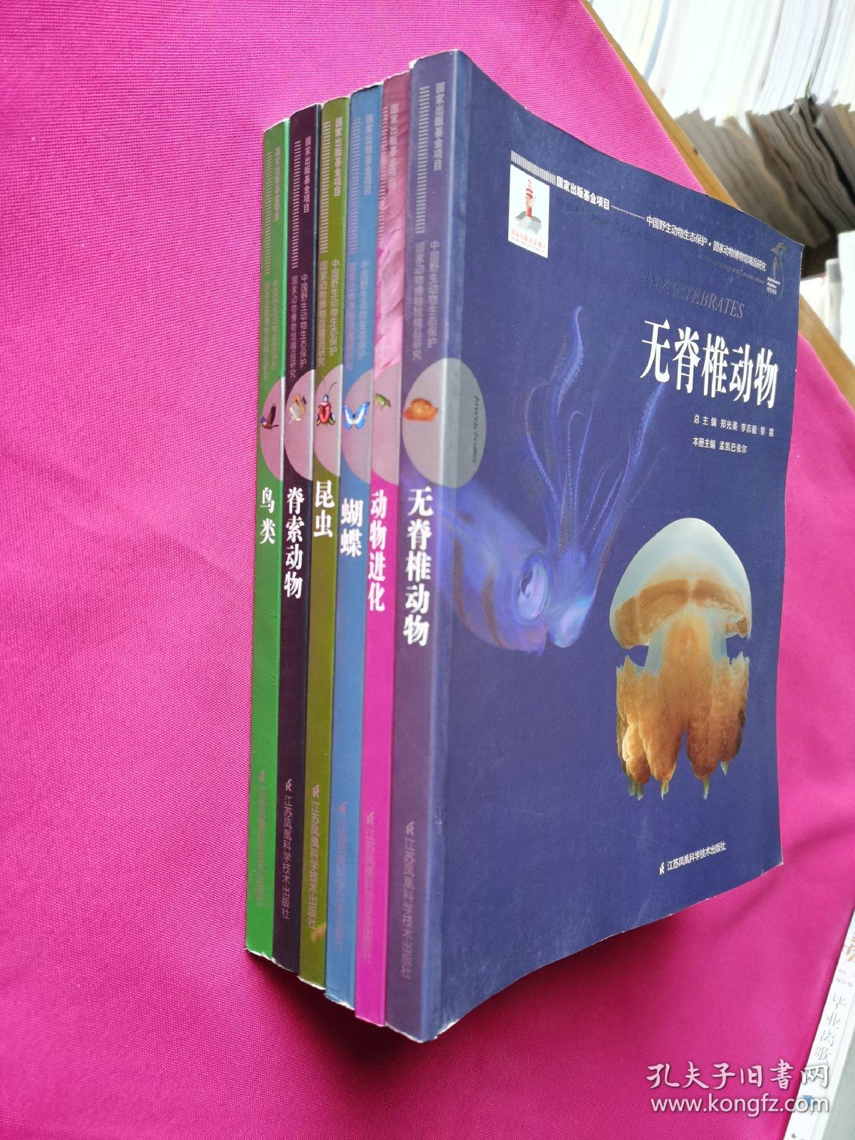 鸟类 动物进化 昆虫 蝴蝶 脊索动物 无脊椎动物 中国野生动物生态保护国家动物博物馆精品研究 孔夫子旧书网 鸟类 动物进化 昆虫 蝴蝶 脊索动物 无脊椎动物 中国野生动物生态保护国家动物博物馆精品研究 孔夫子旧书网