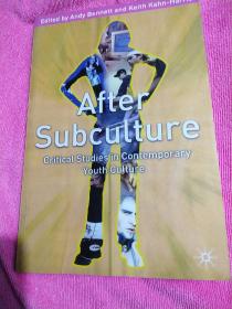 After Subculture：Critical Studies In Contemporary Youth Culture