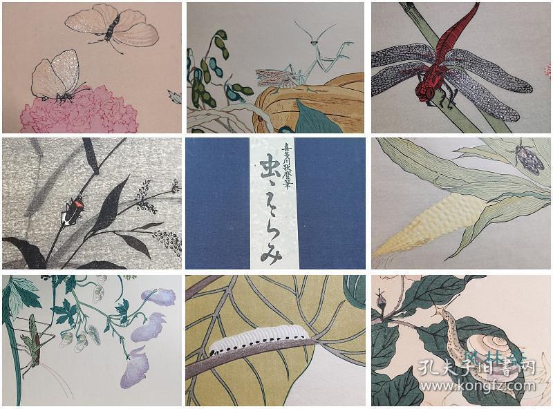 喜多川歌麿 画本虫撰 全15枚木版水印悠悠洞原大复刻日本浮世绘花鸟画杰作东方古典博物图 孔夫子旧书网