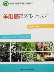 羊肚菌高效栽培技术9787511638458裘源春 中国农业科学技术出版社