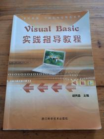 世纪精品计算机等级考试书系：Visual Basic实践指导教程（附光盘）