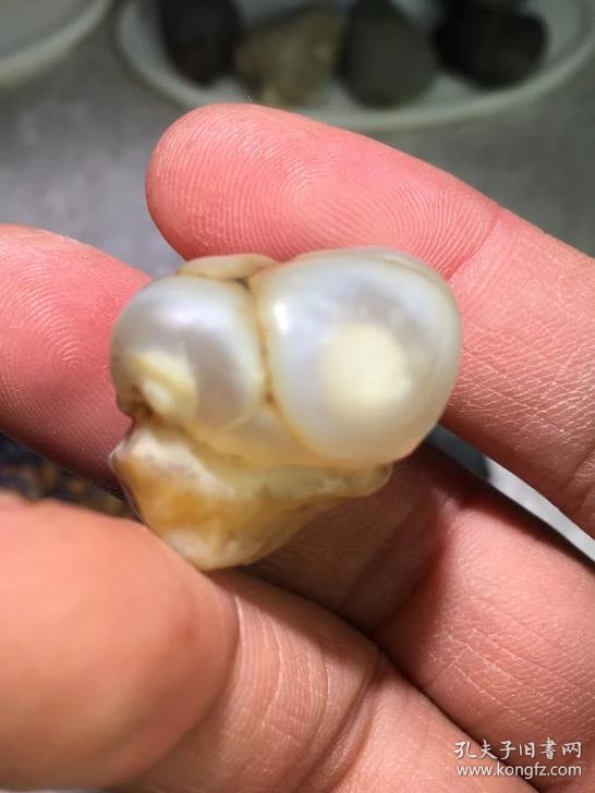 阿拉善带眼睛的鱼籽玛瑙