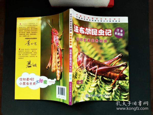 法布尔昆虫记:蝗虫