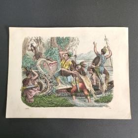 19世纪 石印手工上色版画  （科学杂志内插图）