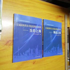 区域战略性技术路线图研究案例. 生态上海和精品上海。2本合售。