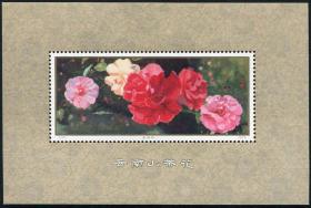 邮票  T37M 云南山茶花  小型张  原胶全品  1979年