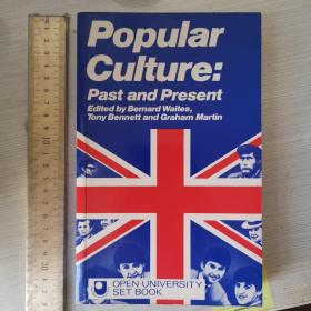 Popular culture past and present history of popular culture mass culture 大众文化史 英文原版