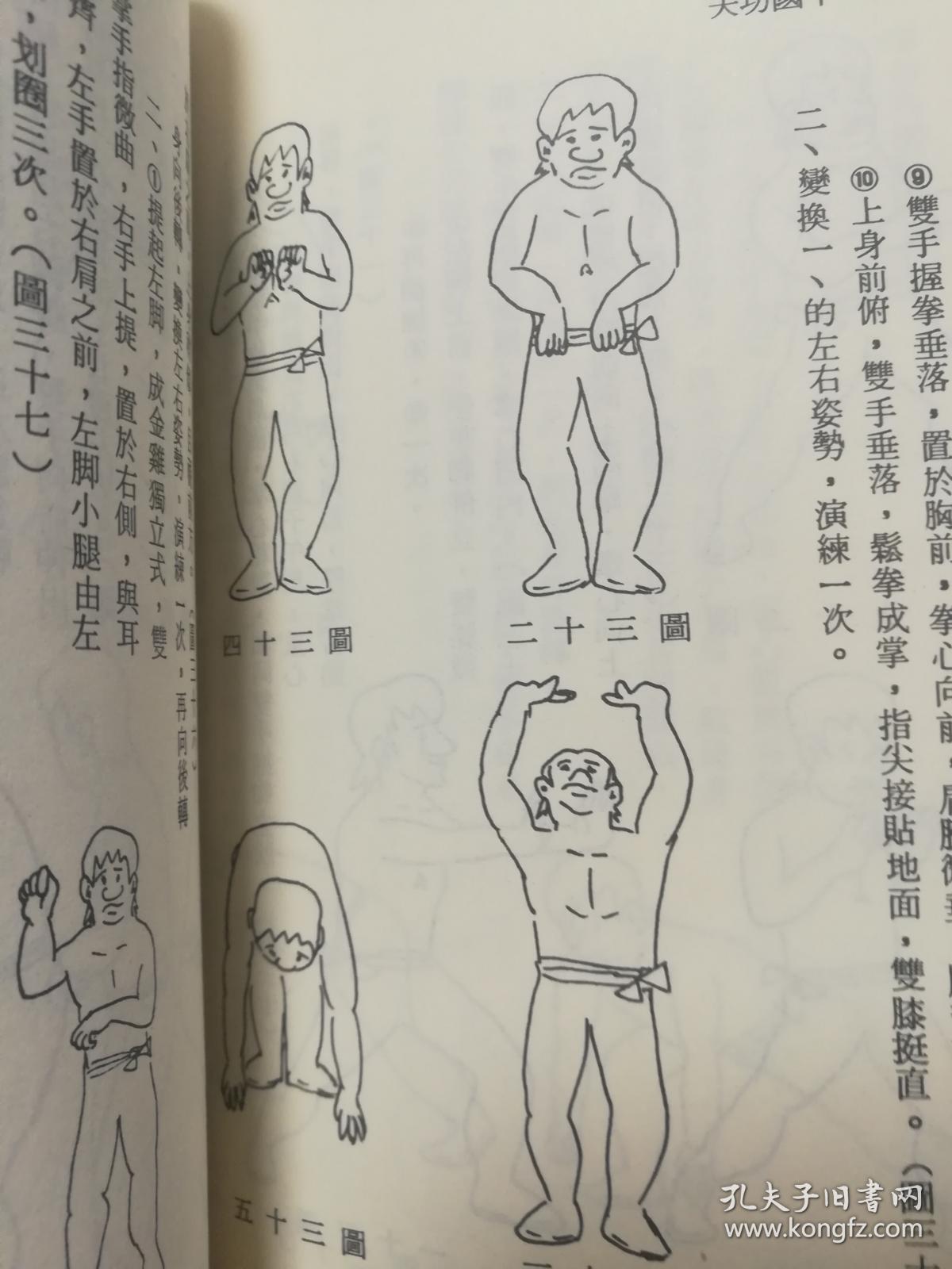 中国功夫(金钟罩-铁布衫-童子功-铁砂手-七星掌-混元掌法)