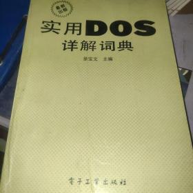 实用DOS详解词典