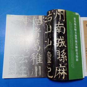 王琳墓志,鲜于氏离堆记刻石,宋璟碑,殷君夫人颜氏碑阳碑侧拓片,多宝塔