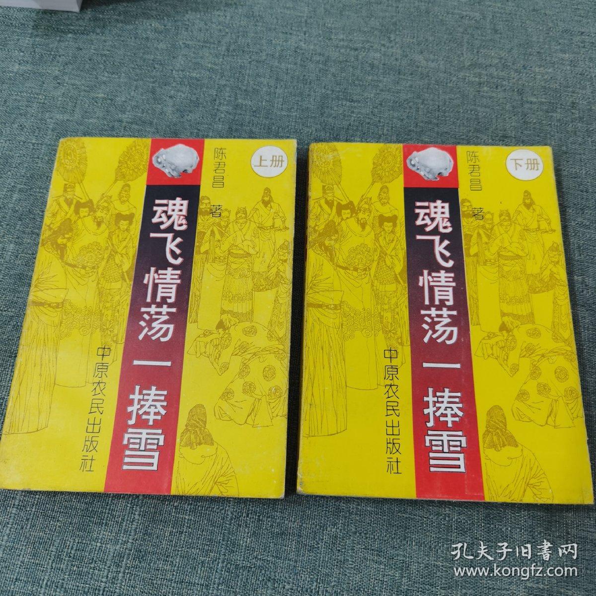魂飞情荡一捧雪(上下册)