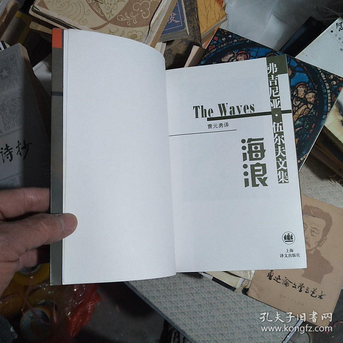 品相描述:八五品图书标准信息作者[英]弗吉尼亚·伍尔夫出版社上海