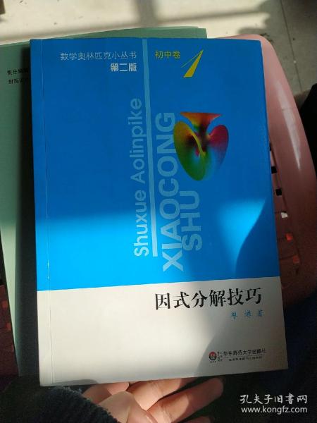 因式分解技巧