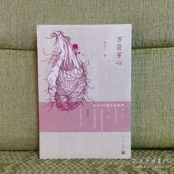 方方·中篇小说系列:万箭穿心