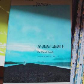 在切瑟尔海滩上 上海译文 中英双语版