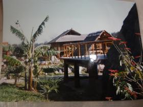 版纳春早（1996年摄影大赛作品照片）王文新  西安扬子电器厂
