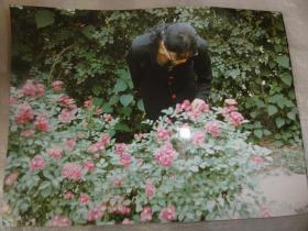 春色关不住（1996年摄影大赛作品照片）翟春 西安市菊花园19号