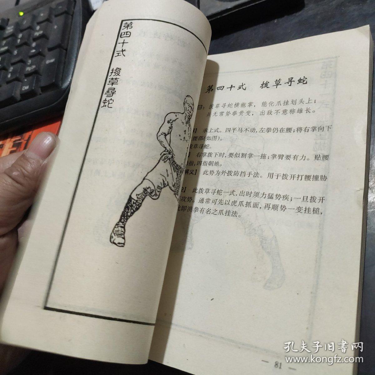 林世荣真传虎鹤双形拳