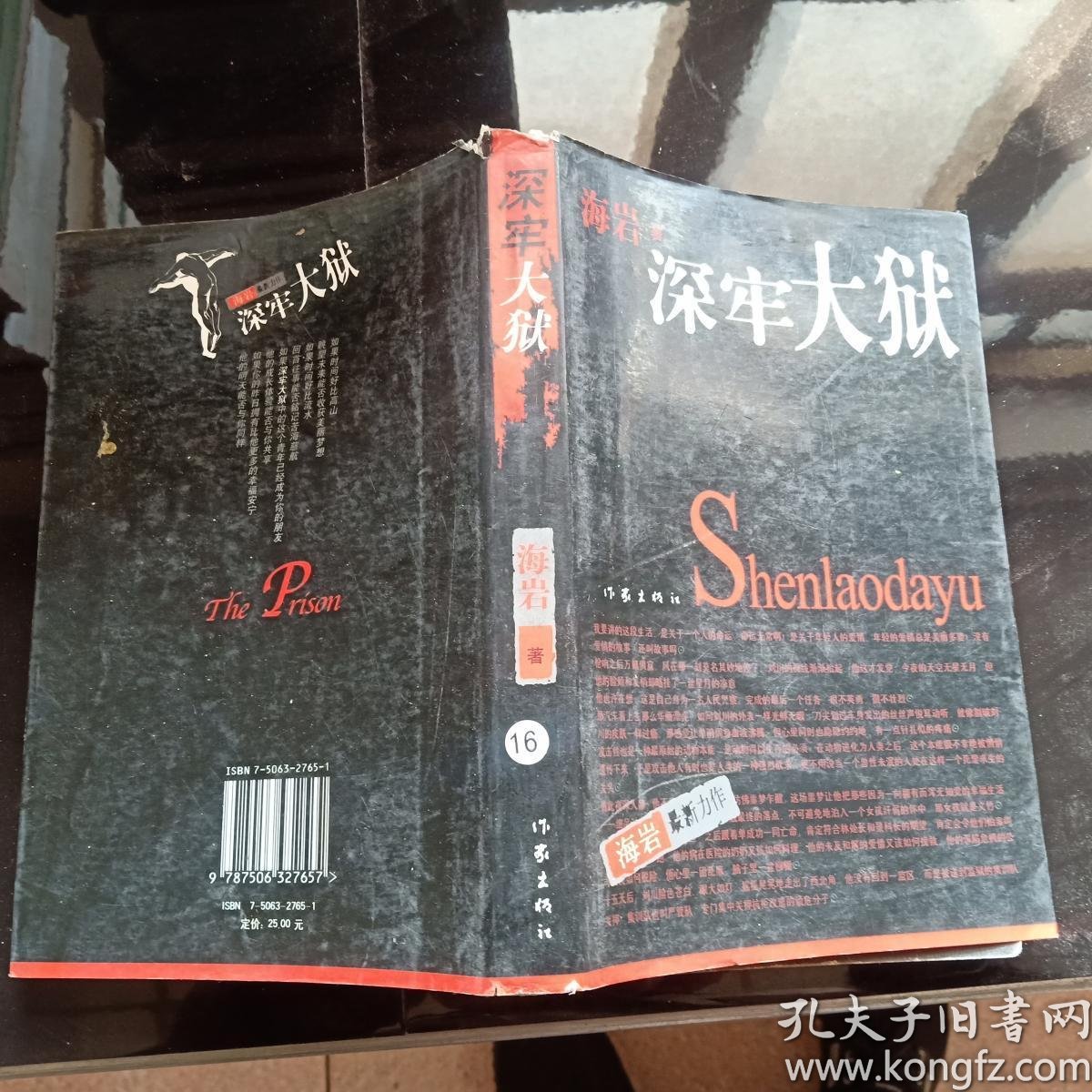 深牢大狱海岩最新力作